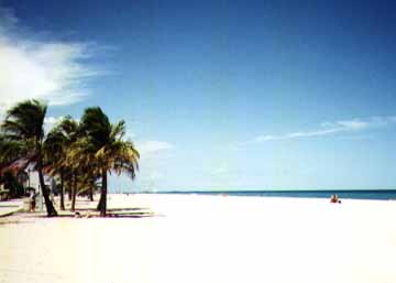 http://www.miami-condominiums.com/dadeweb/beach.jpg